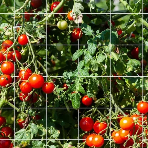 Trellis Netting Heavy-Duty Garden Plant Trellis Netting for Climbing Plants Outdoor Indoor Grow Net for Beans Tomatoes Peas Pumpkin Flowers