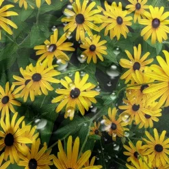 Waterproof Outdoor Curtain Privacy, Sliding Patio Curtain Drapes, Pergola Curtains Grommet 3D Summer Daisy Landscape For Gazebo, Balcony, Porch, Party, 1 Panel