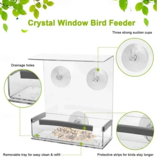 Window Bird Feeder with Strong Suction Cups - Clear Acrylic Bird Feeder for Outdoor Viewing, Large Capacity, Easy to Clean, Gift for Bird Lovers and Cat Owners
