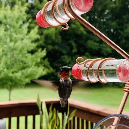 Window Hummingbird Feeder Window Mount Hummingbird Feeder Water Drinker Outdoor Garden Yard Decor